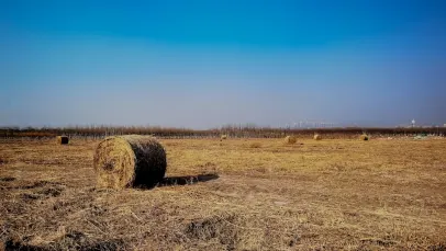 Kazino Lucky Pants Bingo Mobilioji programa